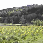 Salmtal Himmerod * Großlittgen