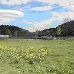 Feriehus Salmtal Himmerod Großlittgen