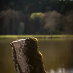 Salmtal Himmerod Feriehus Großlittgen