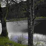 Salmtal Himmerod * Großlittgen