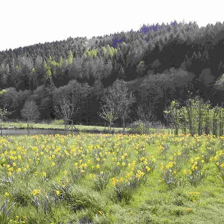 Salmtal Himmerod * Großlittgen